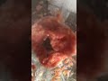 A tomato getting blended in slow motion