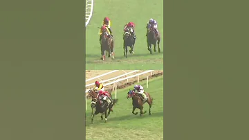 Joaquin Wins The SprintMillion Gr 3 