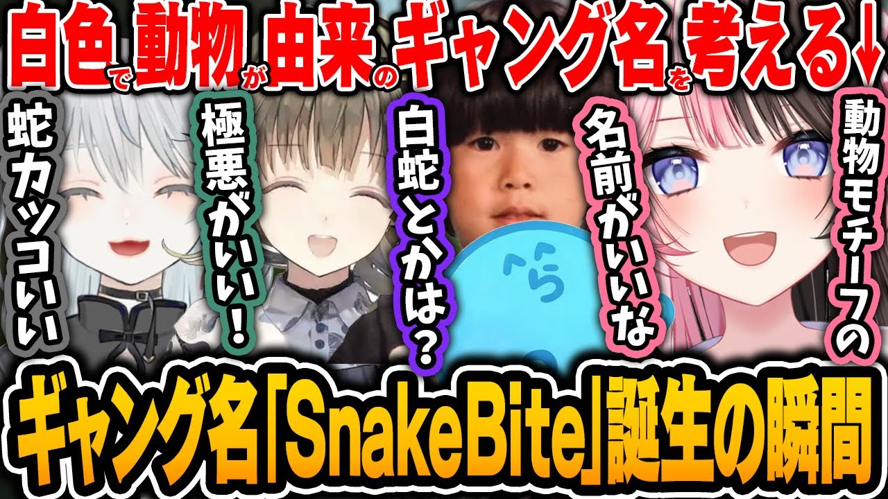 VCRGTA】ギャング名「SnakeBite」誕生の瞬間【橘ひなの/らっだぁ