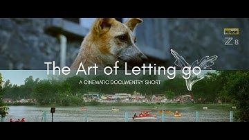 The Art of Getting Lost | Nikon Z8 N-Log Cinematic Short