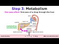 Pharmacokinetics: How Drugs Move Through the Body