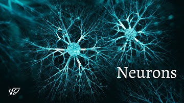 What it REALLY means for a Neuron to "fire"
