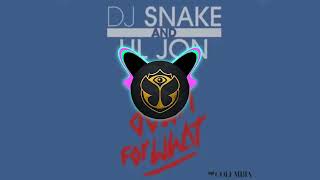 Dj Snake, Lil Jon - Turn Down For What Resimi