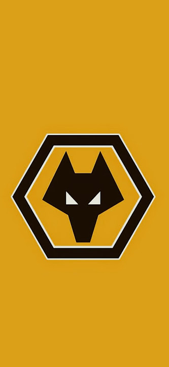 Wolves fc players 🐺✨