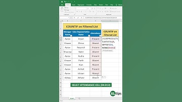 How can you use the COUNTIF function on a filtered list in Excel to enhance your data analysis?