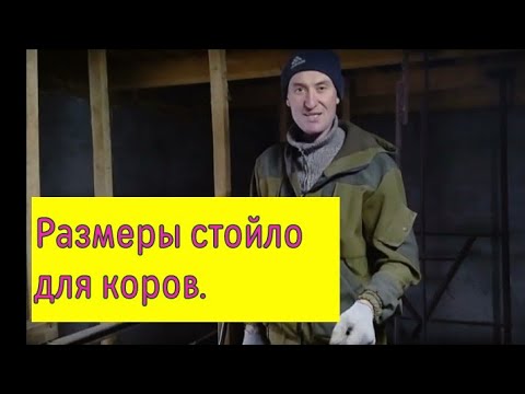 Как сделать стойло для коровы в домашних условиях