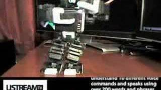 i-Sobot Robot Toy Review