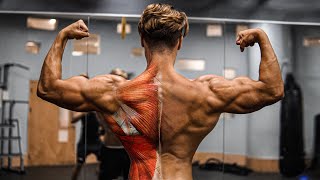 MY CRAZY Back Workout !!