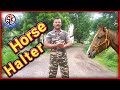 Horse Halter (घोडे की मोहरी बनाये )