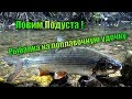 ПОПЛАВОЧНАЯ РЫБАЛКА ПОДУСТА НА РЕЧКЕ! МОМЕНТЫ СНЯТЫЕ НА КАМЕРУ.Экшн-камера SJCAM SJ7 STAR