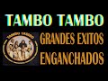 Tambo Tambo - 🎵Grandes Exitos Enganchados🎵