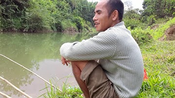 Câu cá rô đồng ở Mộc Hóa Kiến Tường