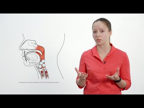 Можно ли лечить