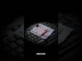 The Romance Scammer Was a Prisoner #romancescam #cybercrime #scamcompounds #vantafiles #aiexposed