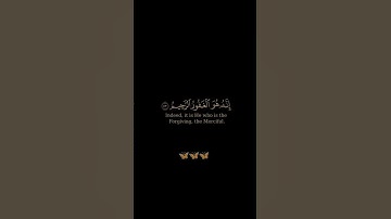 سورة الزمر / القارئ حمزة بوديب / تلاوة خاشعة ومؤثرة تريح سمعك