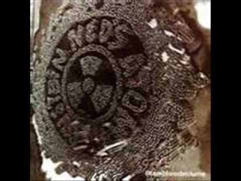 Borehole Video
