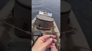 What Do Fish Think These Are? #Fishingmethods #Kayakfishing #Bassfishing #Googanbaits