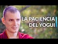 La paciencia del yogui