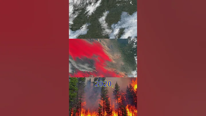 YOU'LL NEVER BELIEVE THESE THINGS ABOUT QUEBEC FOREST FIRES