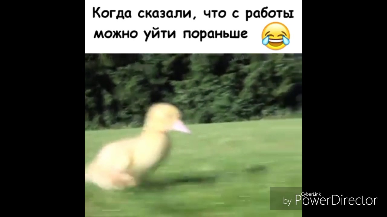 Пришла раньше видео