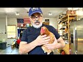 How to care for an egg-bound chicken. Lila the hen is egg bound.