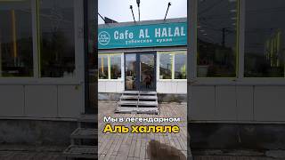 Народный Обжор на Аль Халяль #shortsfeed #еда