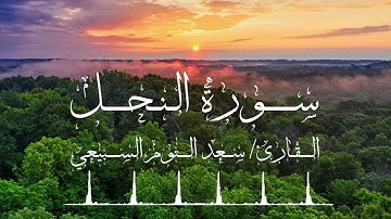 سورة النحل 🔹تلاوة مؤثرة بصوت القارئ/ سعد التوم السبيعي🔹