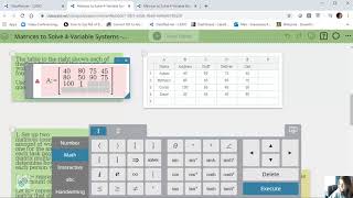 Matrices with 4 Variables Systems (Mini-Math Lesson)