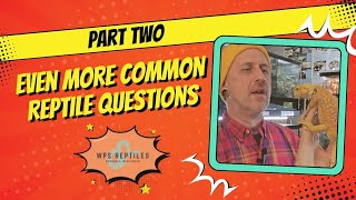 Common Reptile Questions Answered (Misconceptions Explained) | Part 2
