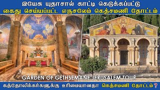 Gethsemane Garden Jerusalem Israel, Where Jesus was Arrested in Tamil |  சிலுவைப்பாதை |12 சீடர்கள்