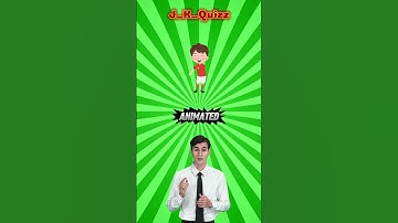 Quizz Riddle Video