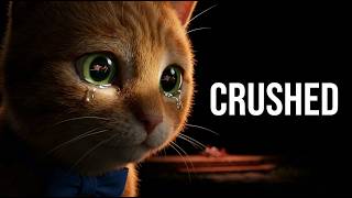 This Energetic Kitten's Antics Will Leave You SPEECHLESS! 😱 SuperPaw