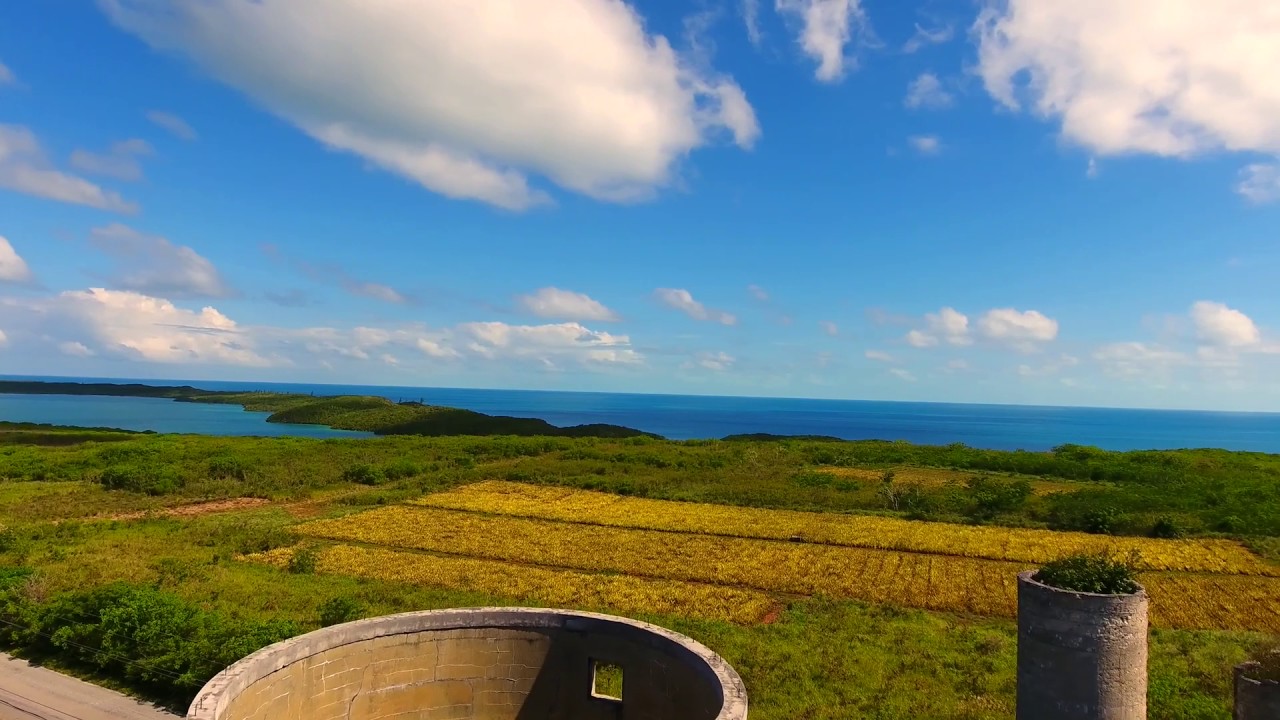 Pineapple Fields of Eleuthera, Bahamas YouTube