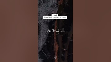 سورة الفجر للقارئ الشيخ سعود ال جمعه . اكتب شي تؤجر عليه 🤍