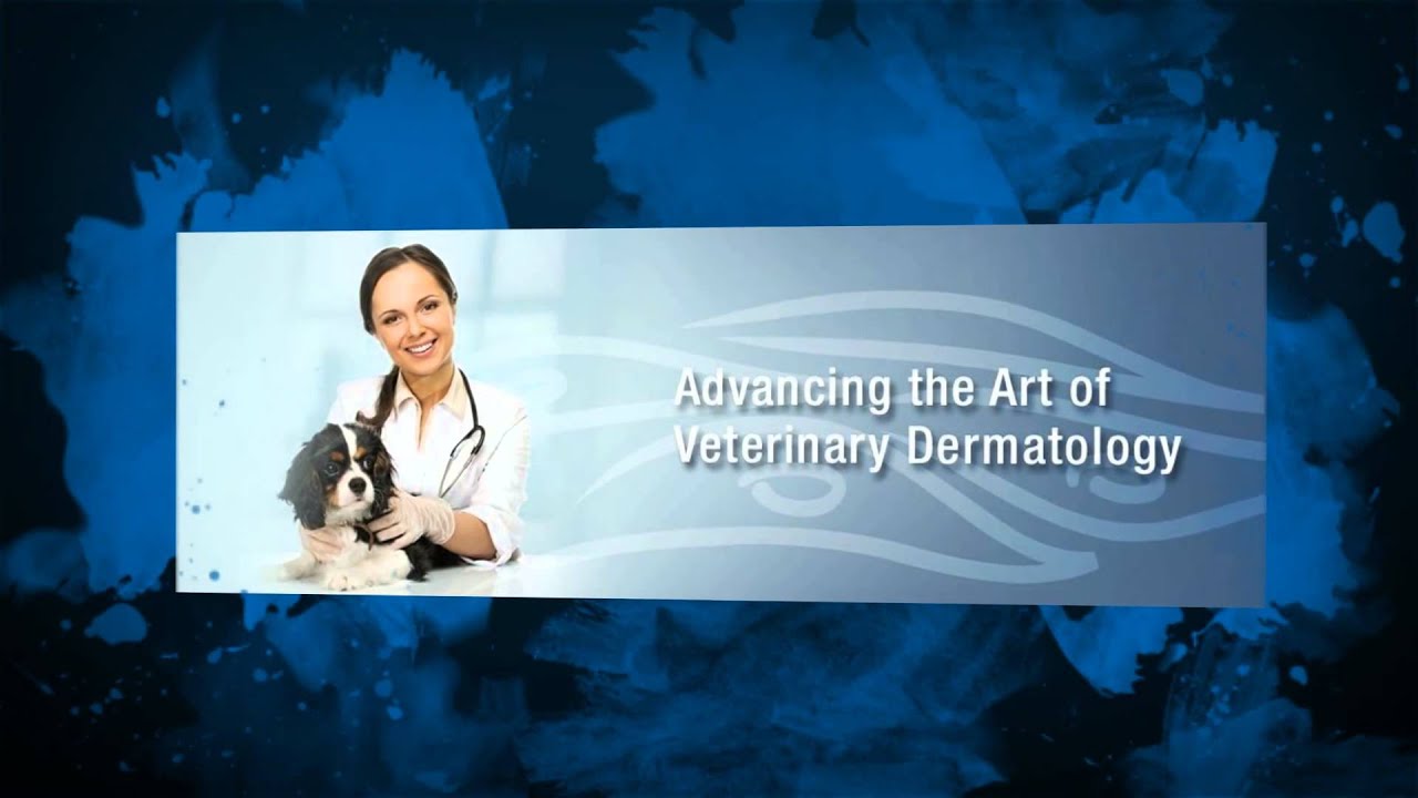 Reviews for Animal Dermatology Clinic - Marietta, Georgia - YouTube