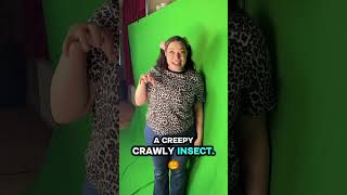 🐞✨ LET’S LEARN MAKATON! ✨🐞
