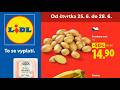 🇨🇿 LIDL Česká republika Akční leták OD ČTVRTKA 25.06 - 28.06.2026