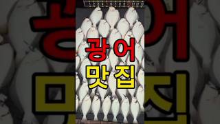 인천은 지금 대광어맛집 #shots #fishing