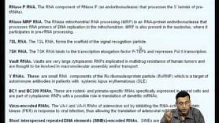 Mod-04 Lec-14 Regulation of tRNA and 5s rRNA synthesis by RNA Polymerase III