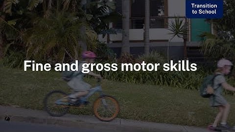 Fine and Gross Motor Skills: Transition to School