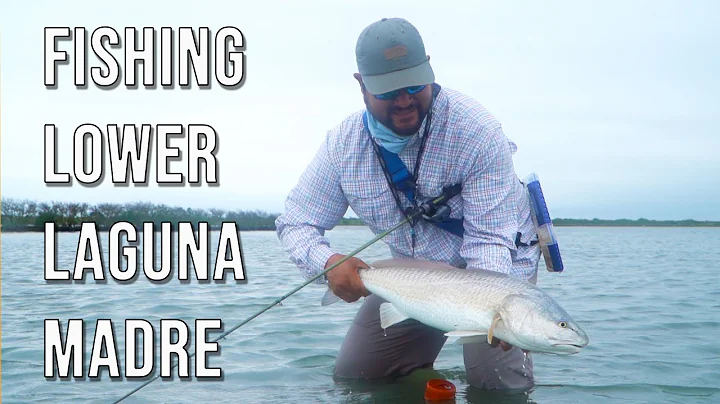 Targeting Shallow Water Redfish