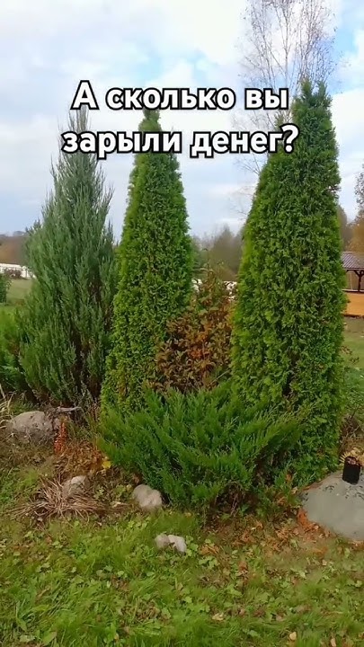 Цены на саженцы просто космос. Или сколько стоит ваш сад? - YouTube