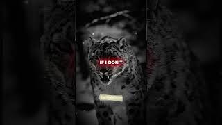 I Work Hard Because I'm The Backup Plan... And I CAN'T Afford to Lose  #motivation #achieveanything