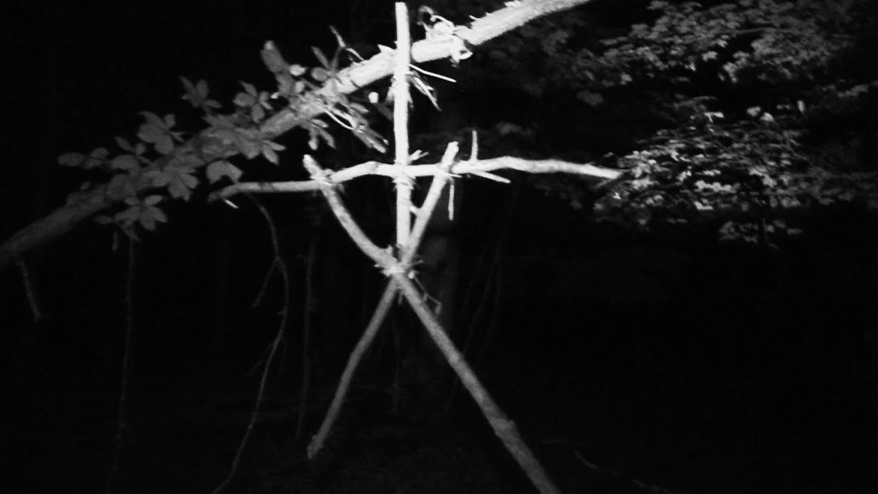 These Woods Ain't Normal. A Witch and a Bigfoot? 
