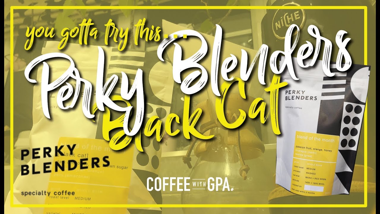 Perky Blenders Black Cat Coffee Review YouTube