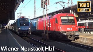 Züge Wiener Neustadt Hbf  ●  27.1.2024