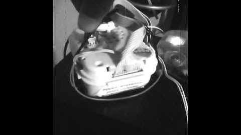 circuit bent monster The Thing II - Drone Mode 12 sold devices