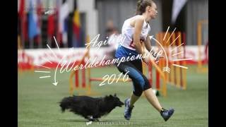 FCI Agility Worldchampionship 2016 (Zaragoza)