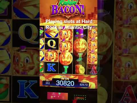Asked for a SHAKEY SHAKEY & Got the BONUS!