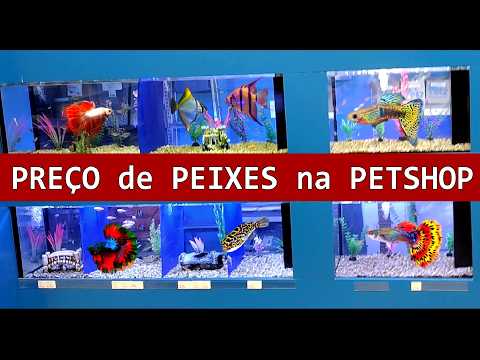 PEIXE tem preço BOM na PETSHOP ?  #pets  #animaisdeestimação